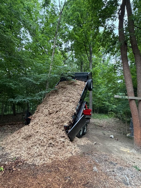 14k 14 Foot Dump Trailer thumbnail 5